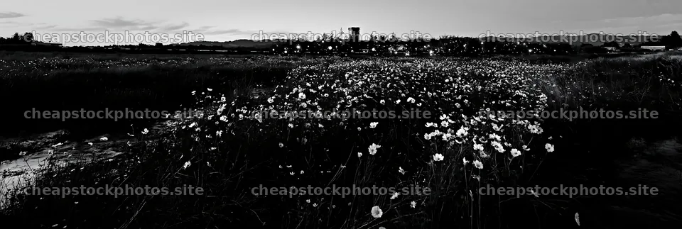 Christmas lights at dusk by stream in meadow  stock photos 13690x4602