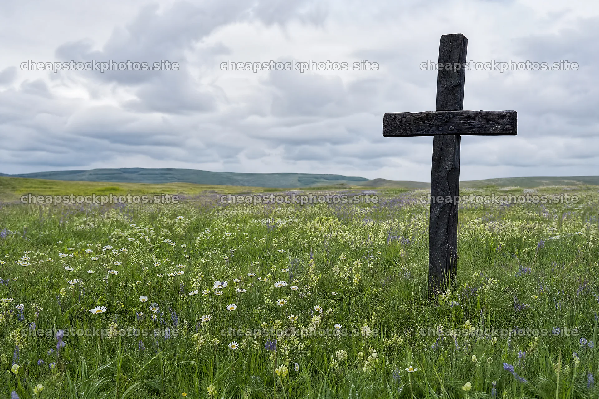 Rustic Christian cross in spring meadow