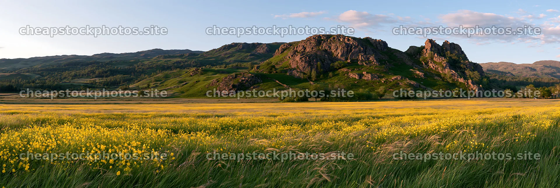 Meadow beneath crags