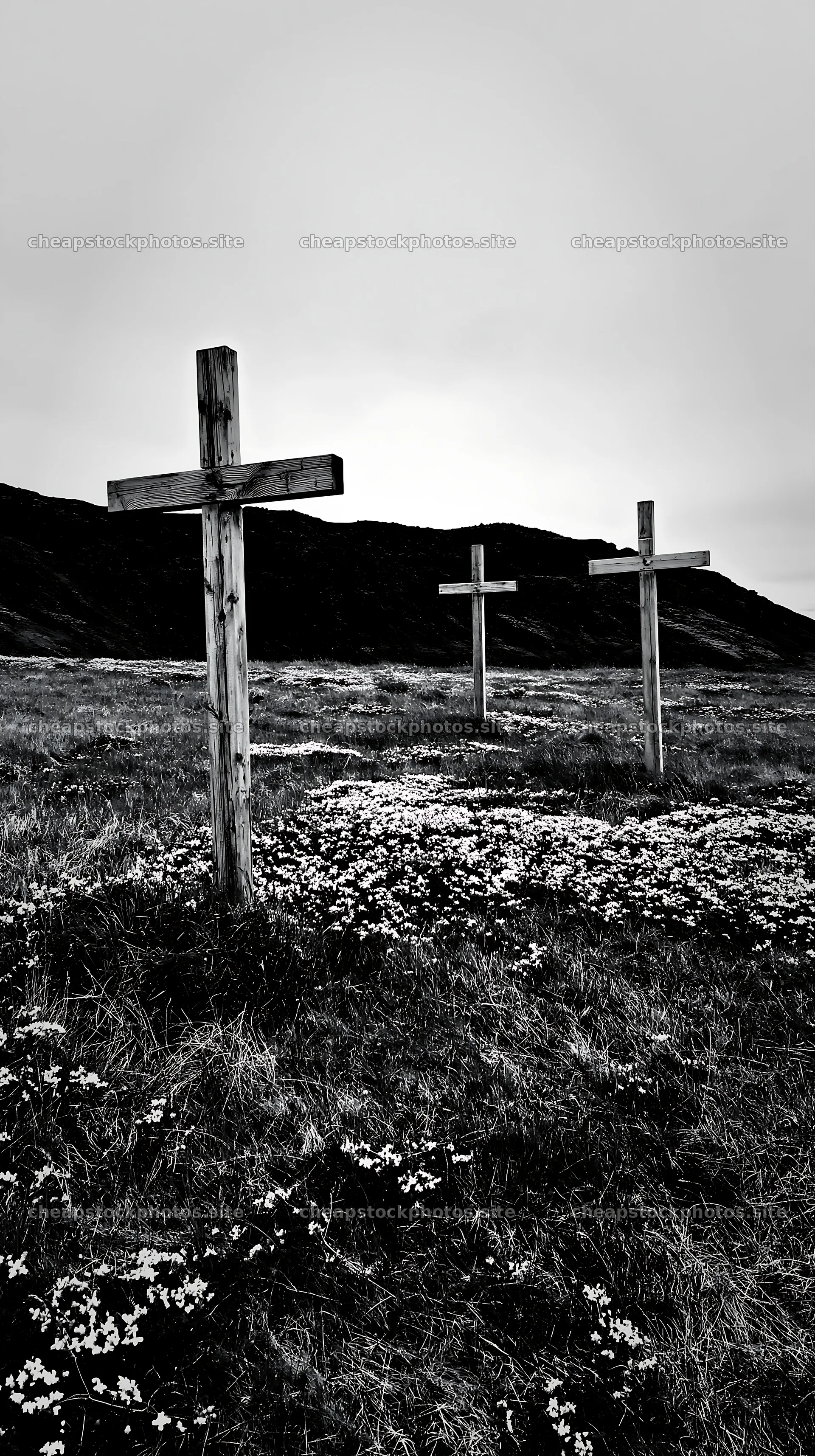 Crosses among yellow flowers in meadow  stock photos 5938x10608