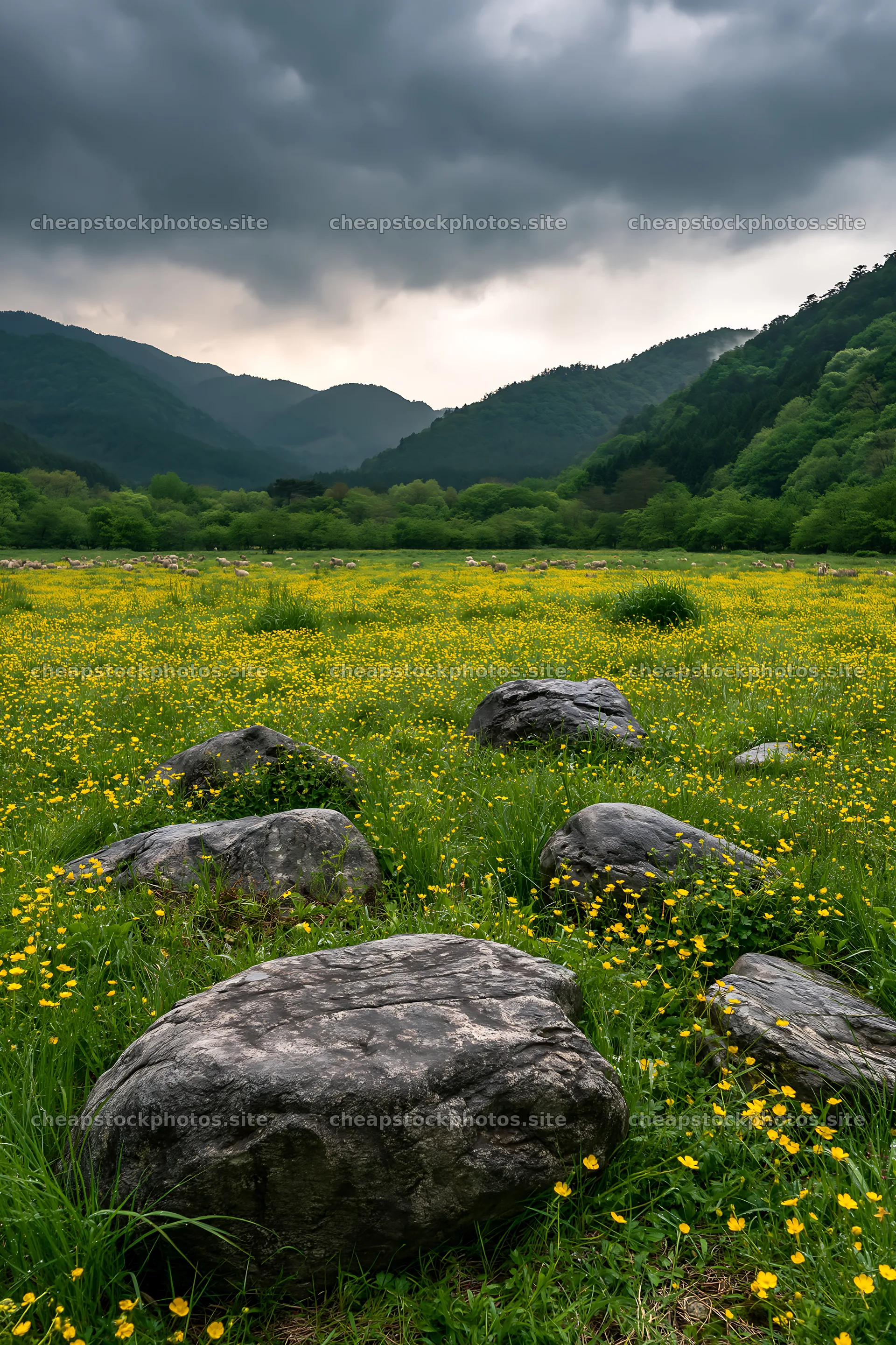 Wildflower meadow with stone foreground in Kyoto spring – stock photos 6480x9722