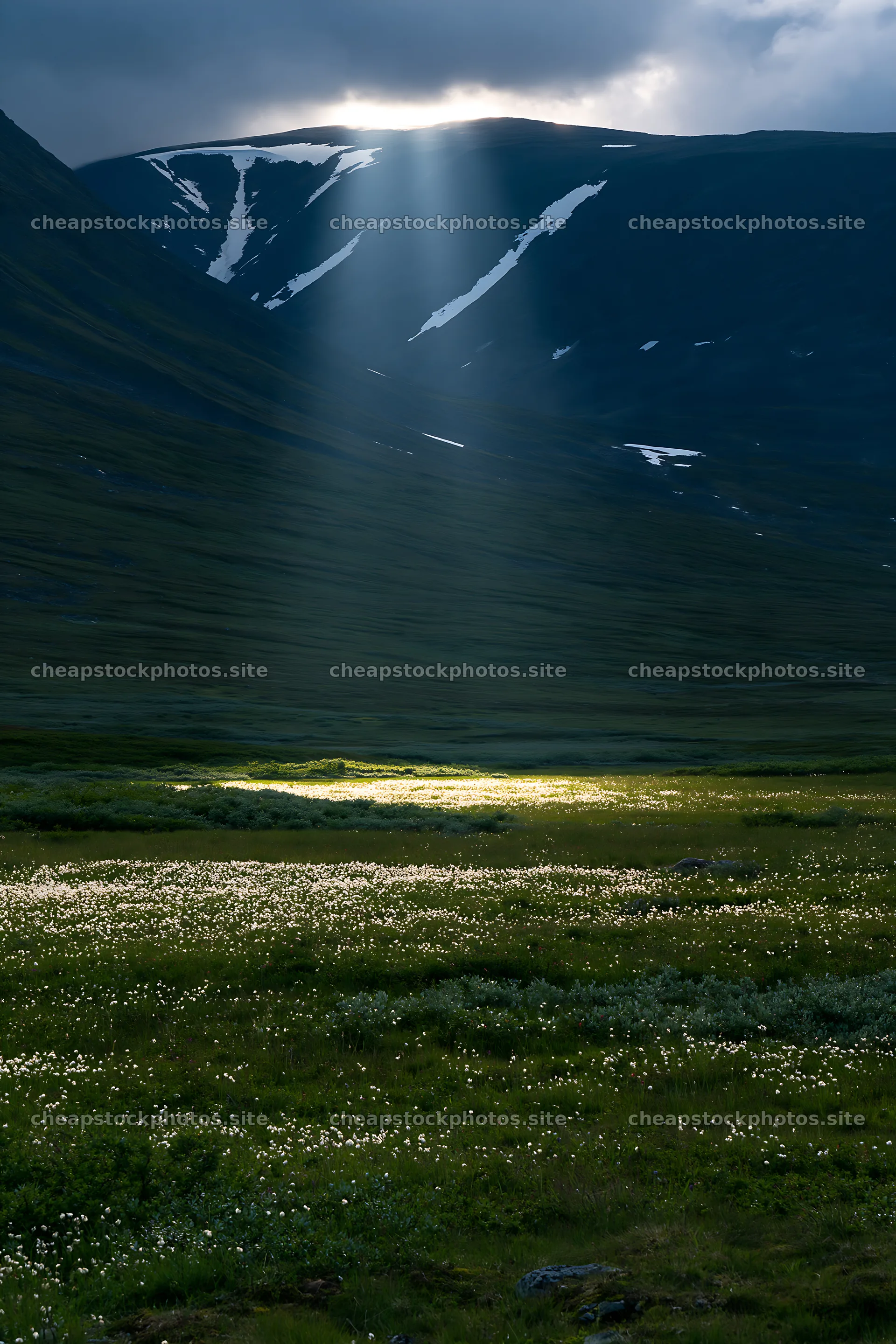 Sun rays illuminate a meadow in the mountains – stock photos 6480x9722