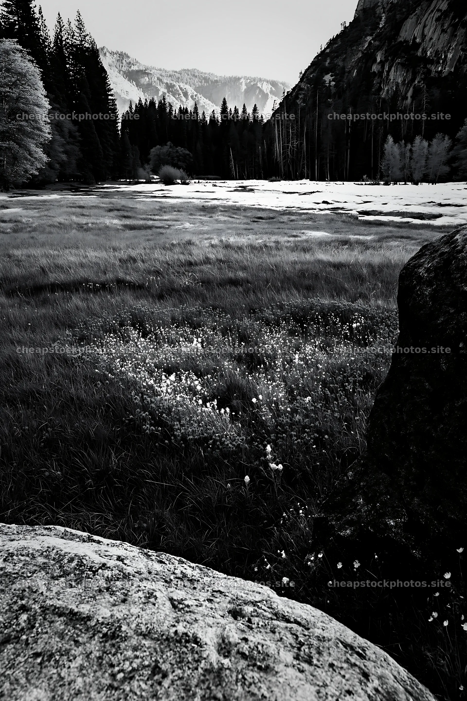 Snowy Yosemite Valley meadow with rocks and trees – stock photos 6480x9722