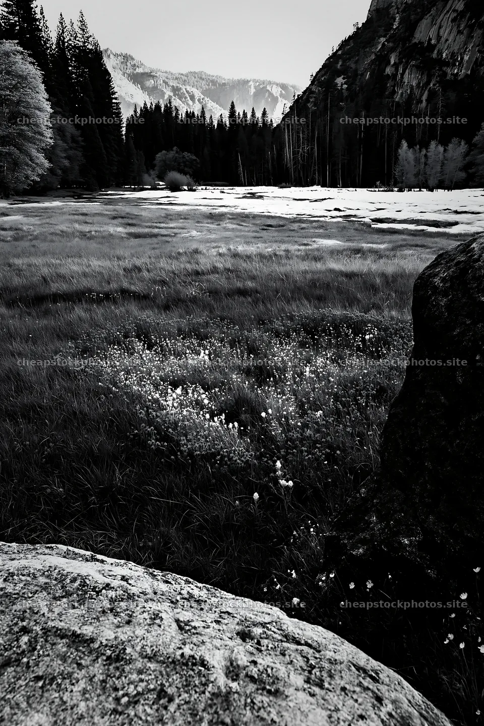 Snowy Yosemite Valley meadow with rocks and trees – stock photos 6480x9722