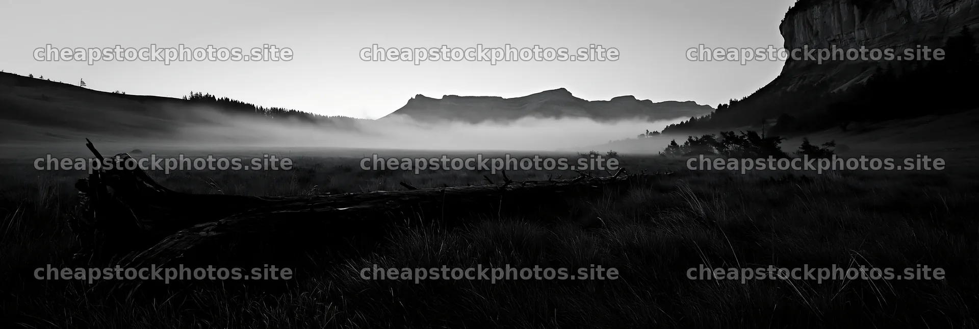 Weathered log in a meadow at dawn with distant mountains – stock photos 13690x4602