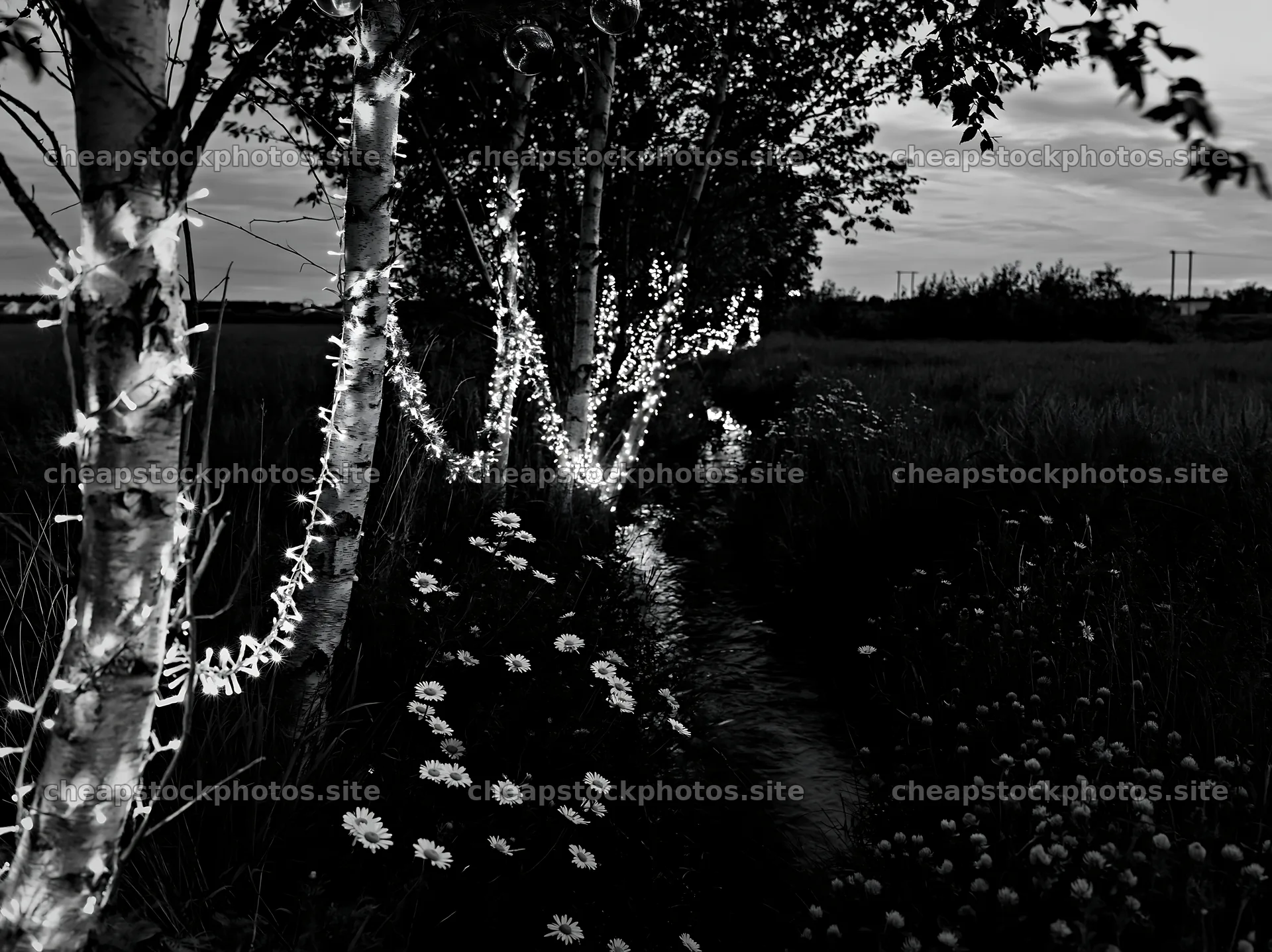 Christmas lights by stream in meadow at dusk – stock photos 9174x6866