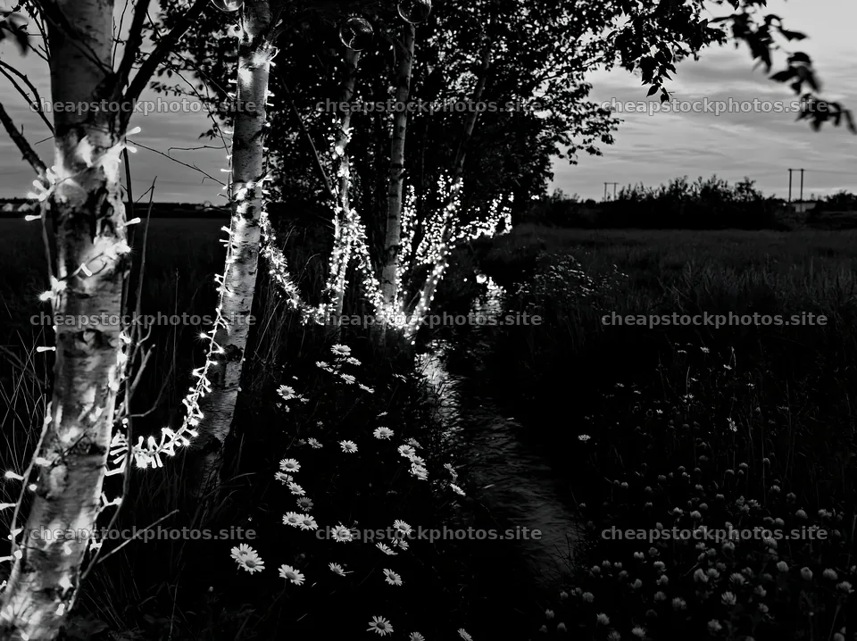 Christmas lights by stream in meadow at dusk – stock photos 9174x6866