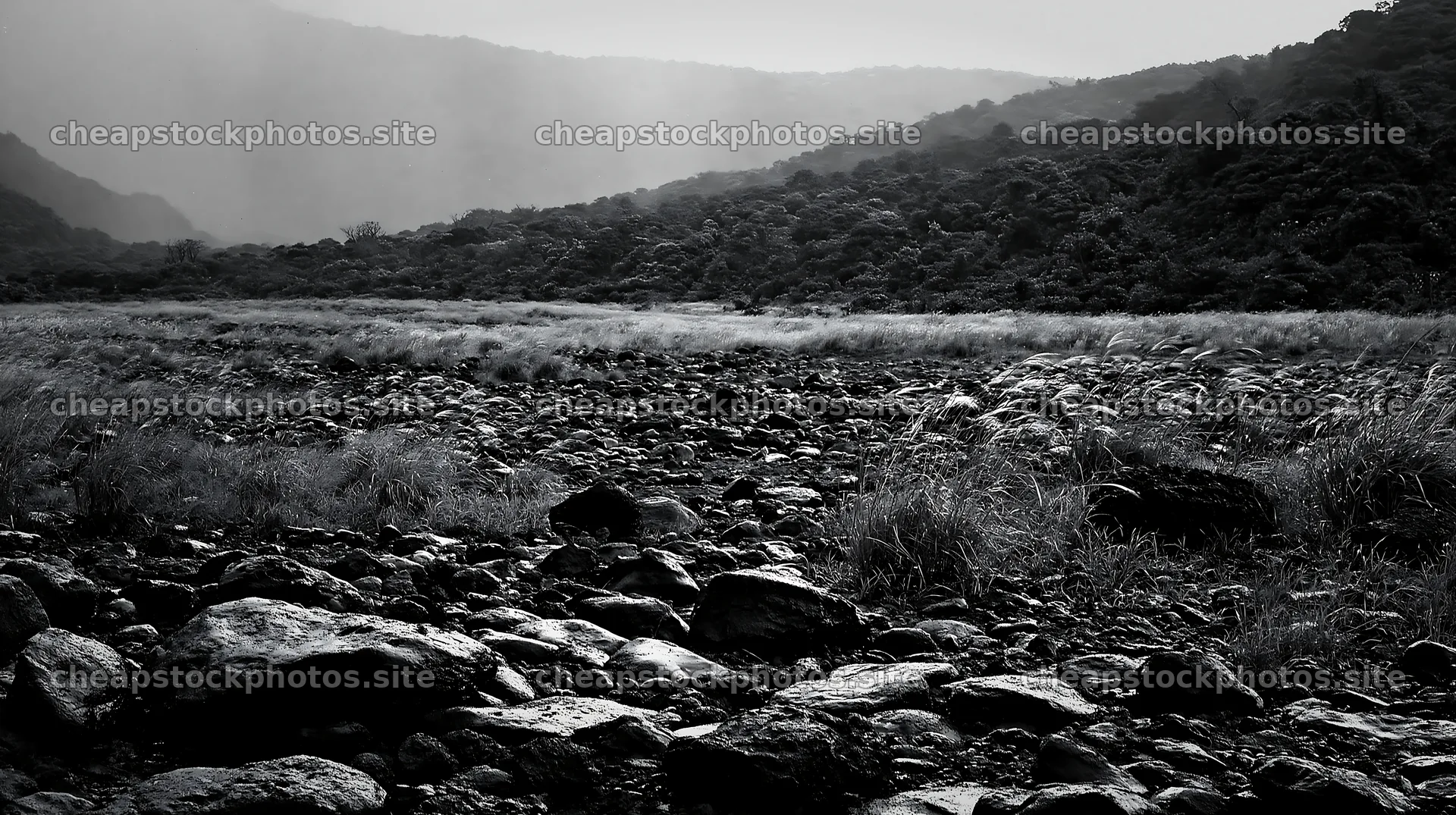Kagoshima volcanic meadow with pumice foreground – stock photos 10608x5938