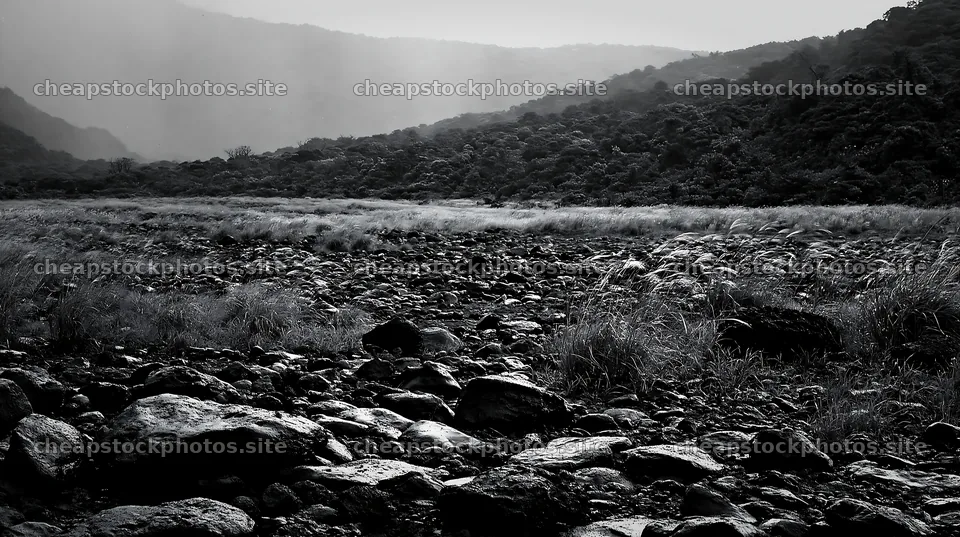 Kagoshima volcanic meadow with pumice foreground – stock photos 10608x5938