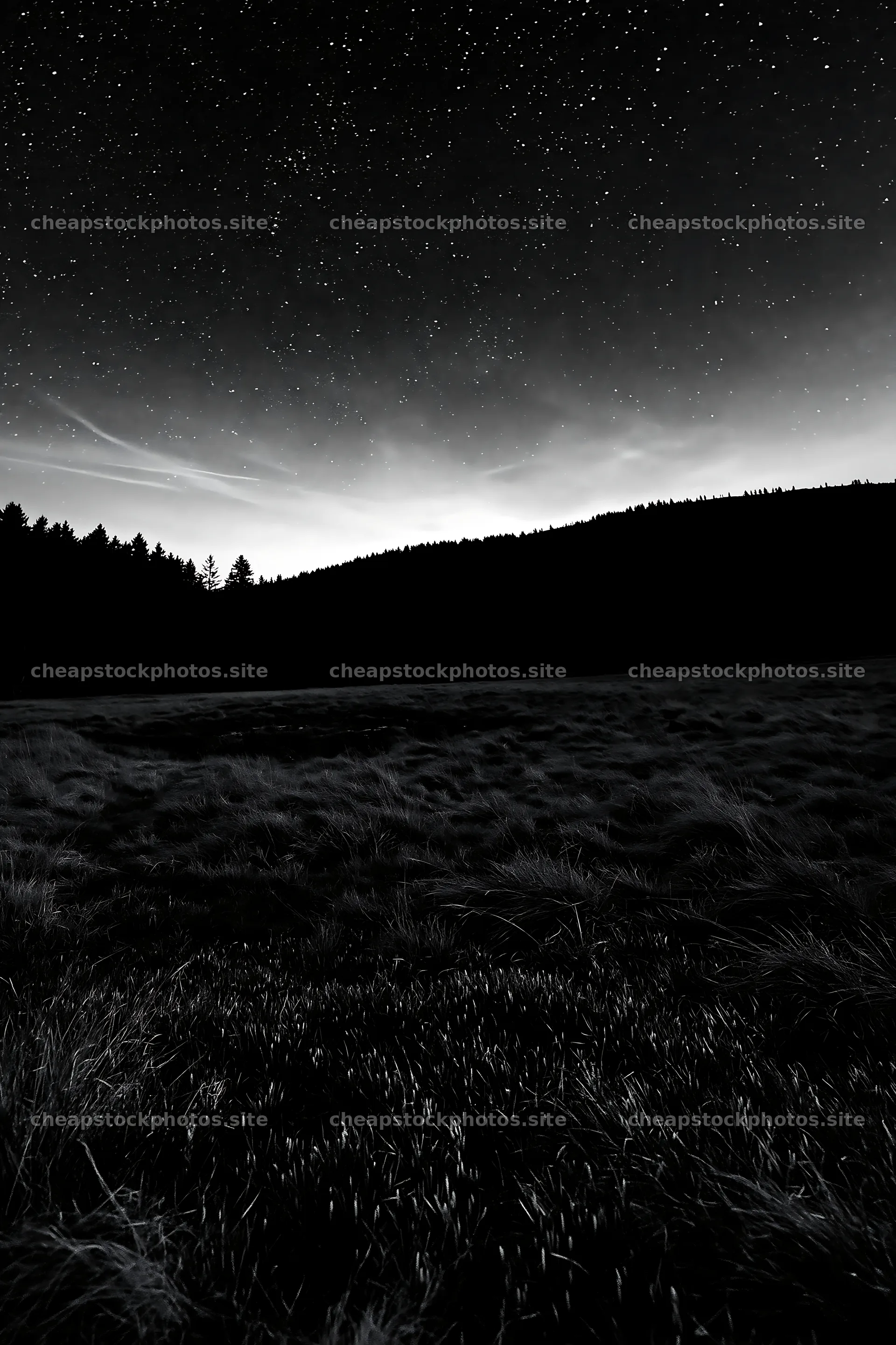 Dark sky over meadow with stars and forest in the background – stock photos 6480x9722