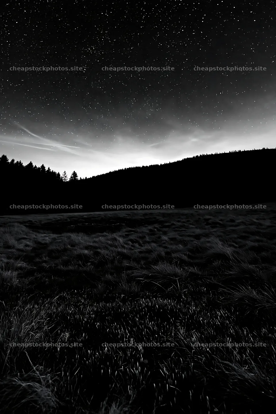 Dark sky over meadow with stars and forest in the background – stock photos 6480x9722