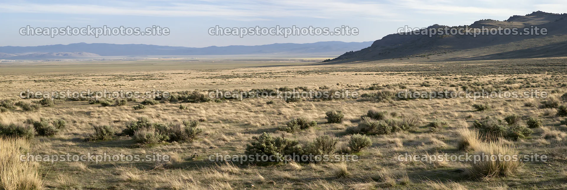 Drought-tolerant meadow with sparse vegetation and distant hills – stock photos 13690x4602