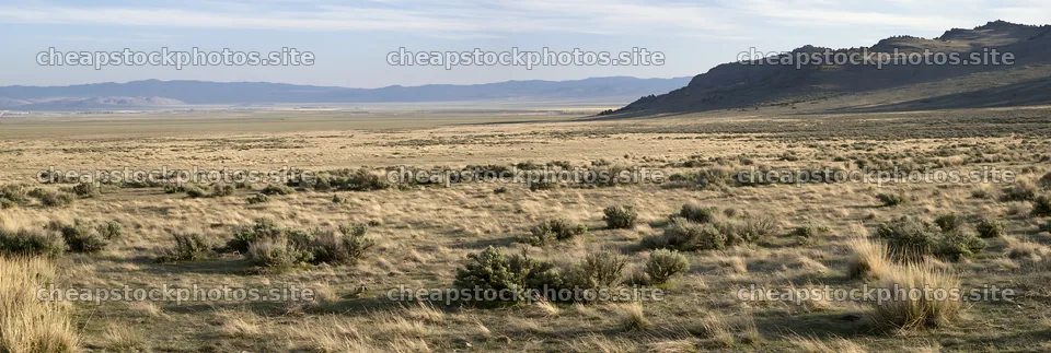 Drought-tolerant meadow with sparse vegetation and distant hills – stock photos 13690x4602