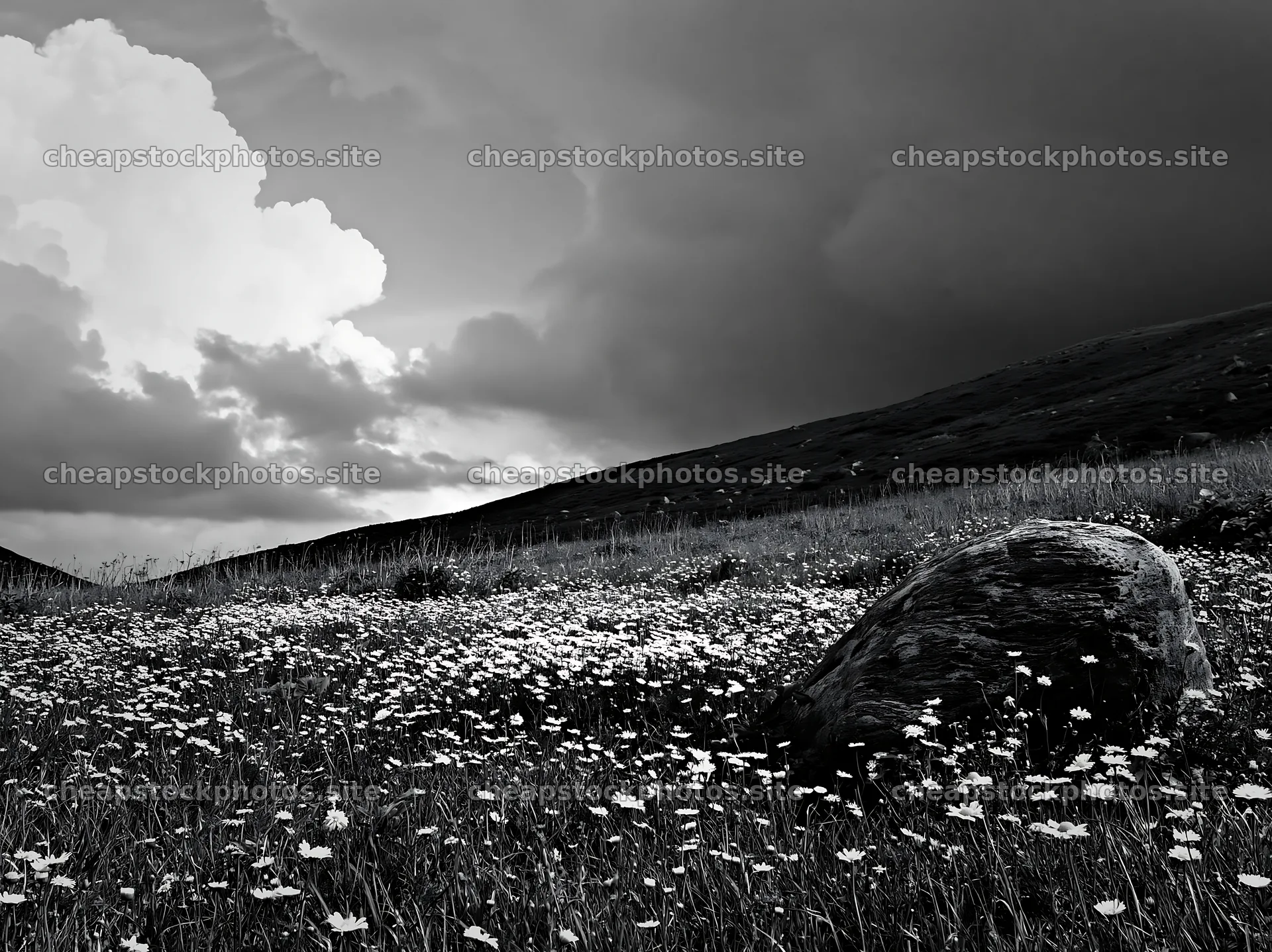 Aomori climate resilient meadow with boulder is lush and green – stock photos 9174x6866