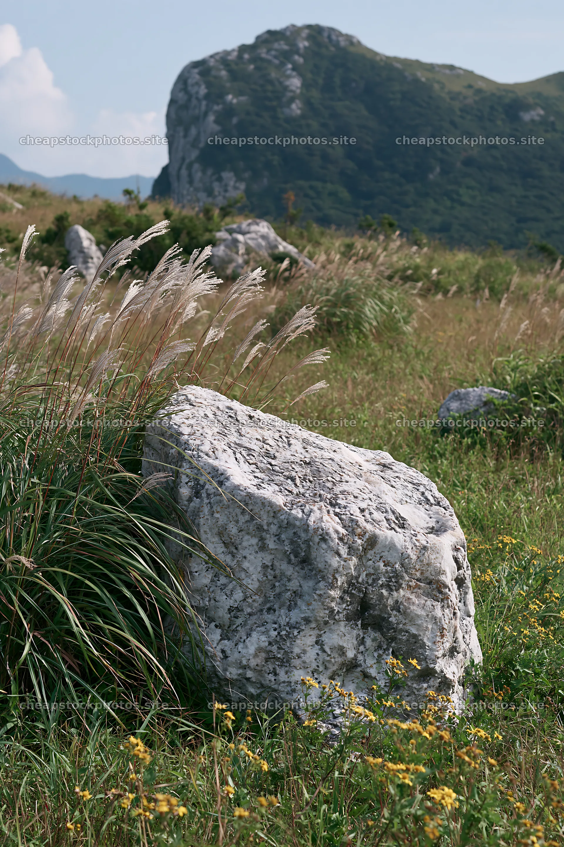 Yamaguchi limestone meadow with pale boulder and tall grass – stock photos 6480x9722