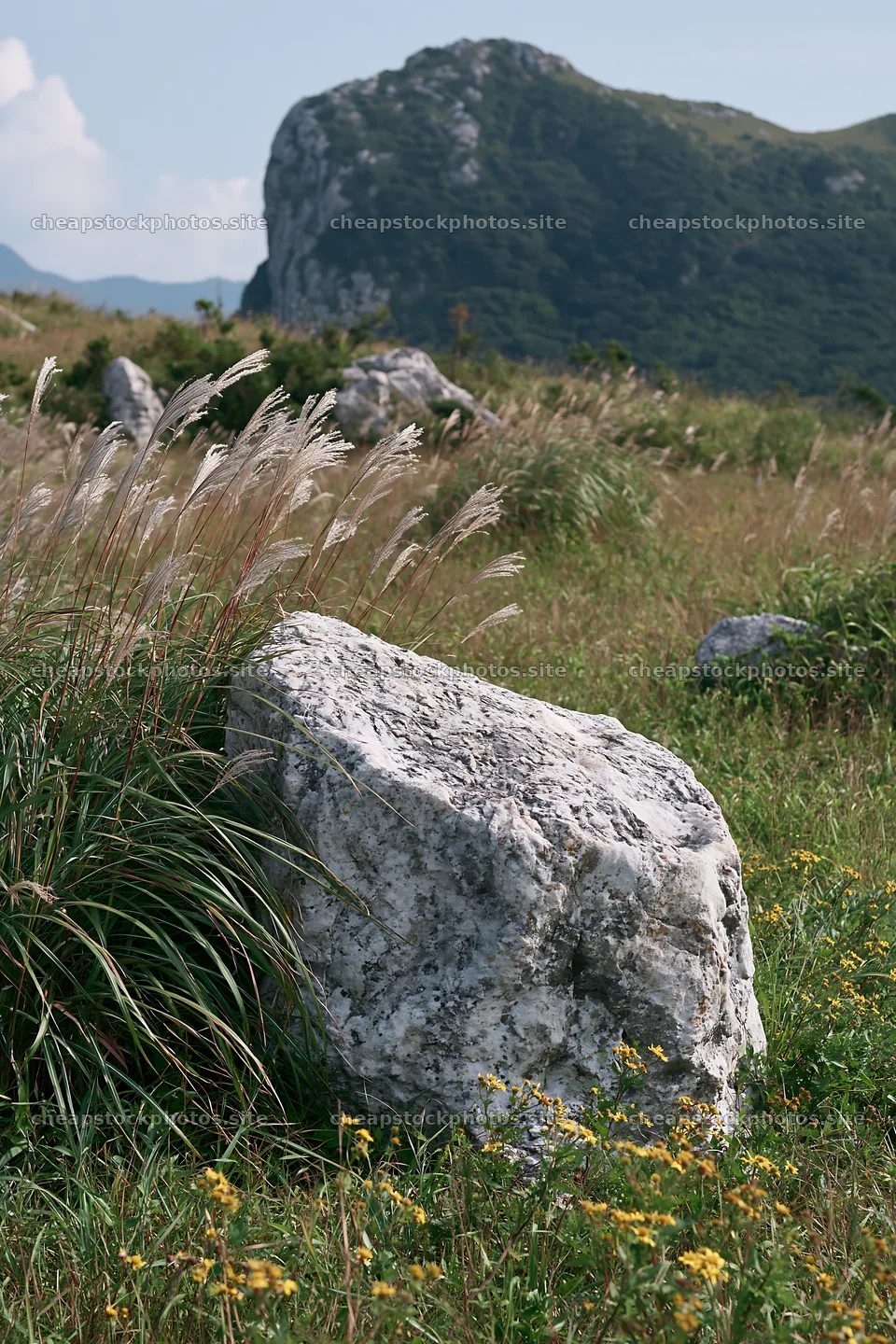 Yamaguchi limestone meadow with pale boulder and tall grass – stock photos 6480x9722
