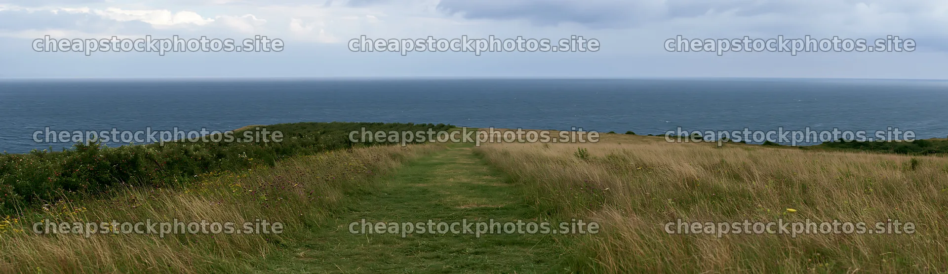 Seaside orchard meadow with open grassland and ocean view – stock photos 14762x4268