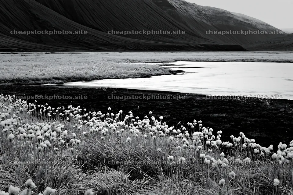 Frozen tarn meadow with grass and mountains in background – stock photos 9722x6480