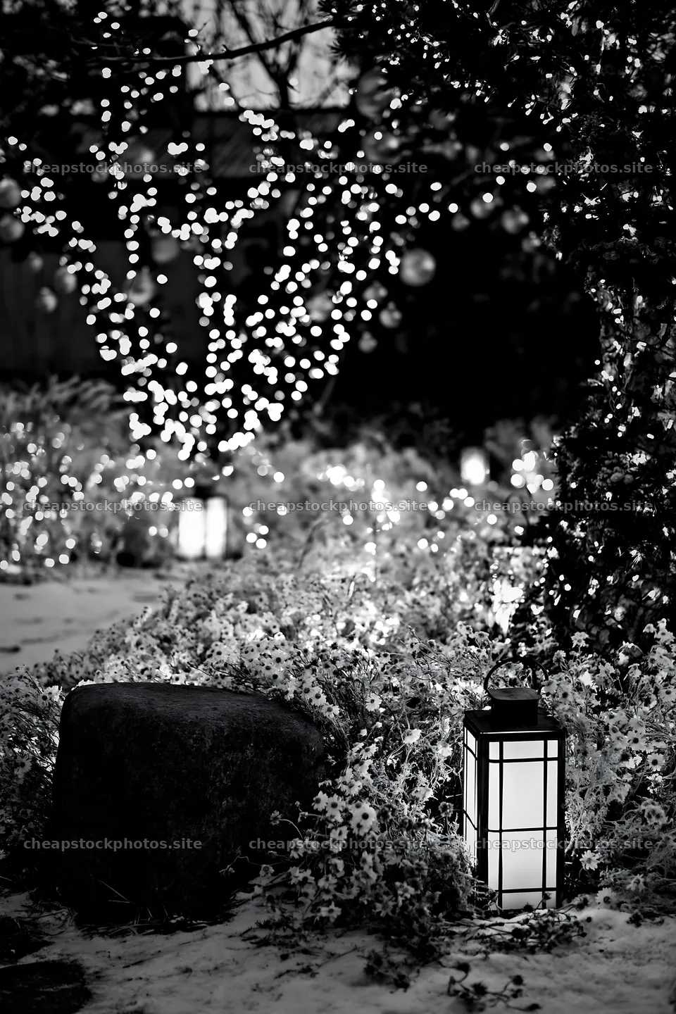 Expansive Christmas meadow with frost and lanterns – stock photos 6480x9722