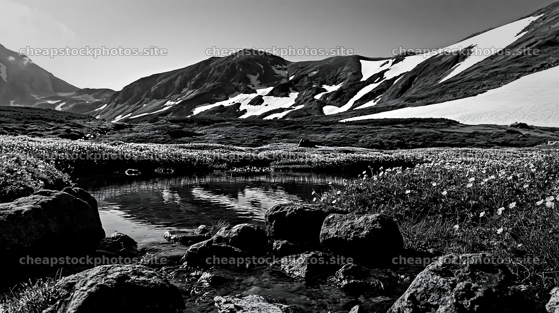 Toyama alpine meadow snowmelt rock foreground – stock photos 10608x5938