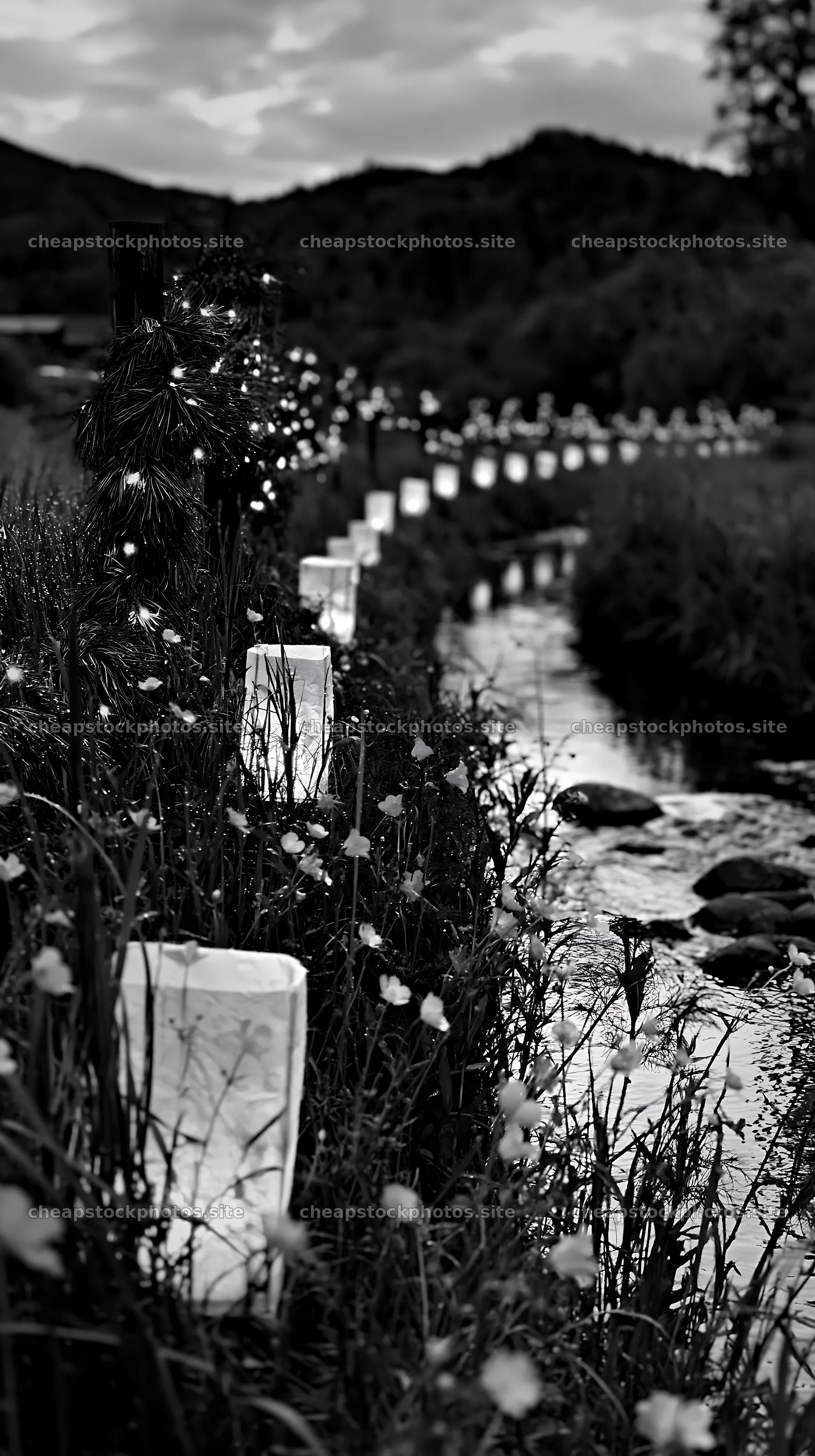 Christmas lanterns along stream in meadow – stock photos 5938x10608