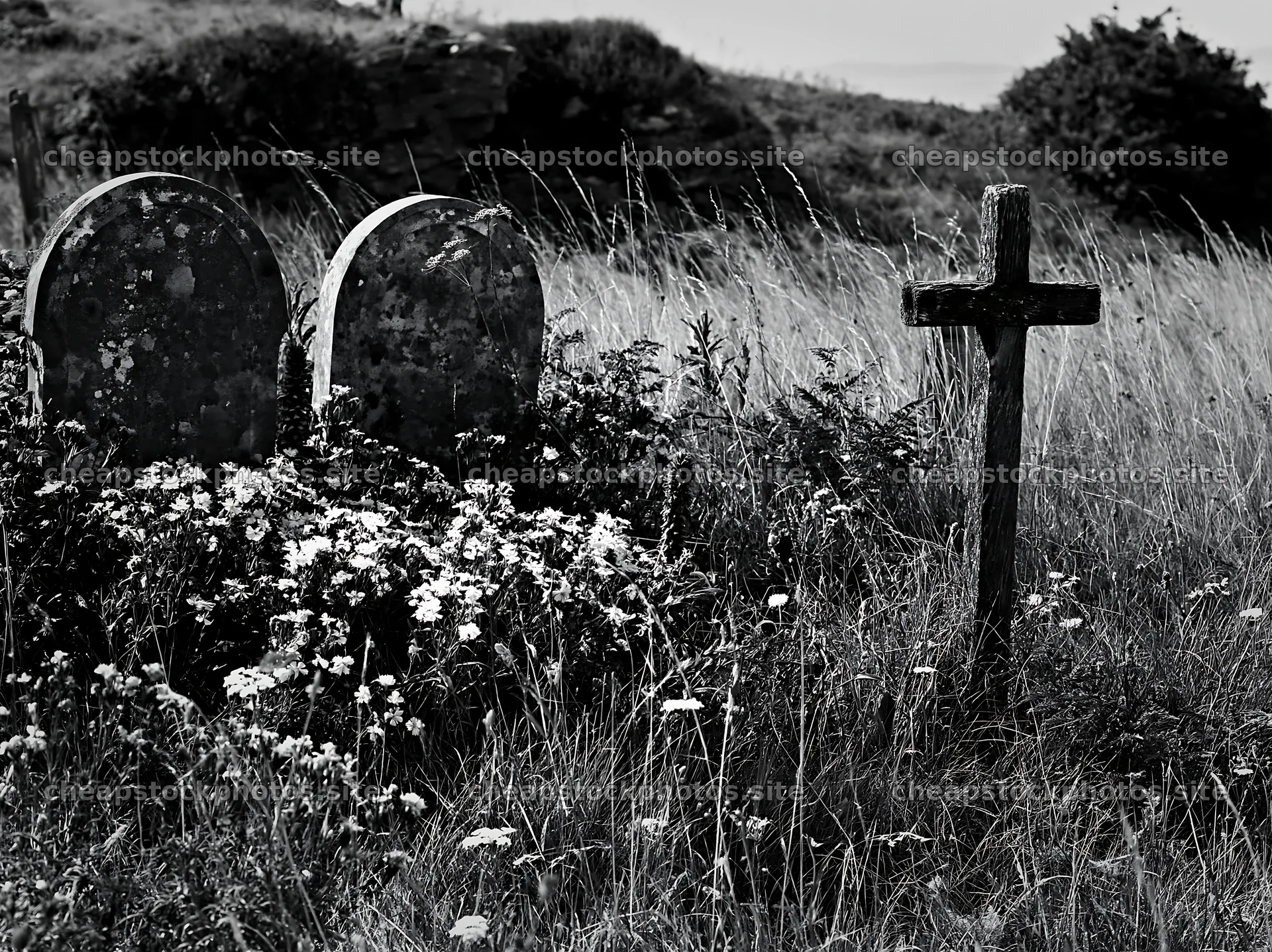Christian cross in meadow with graves during Christmas season – stock photos 9174x6866