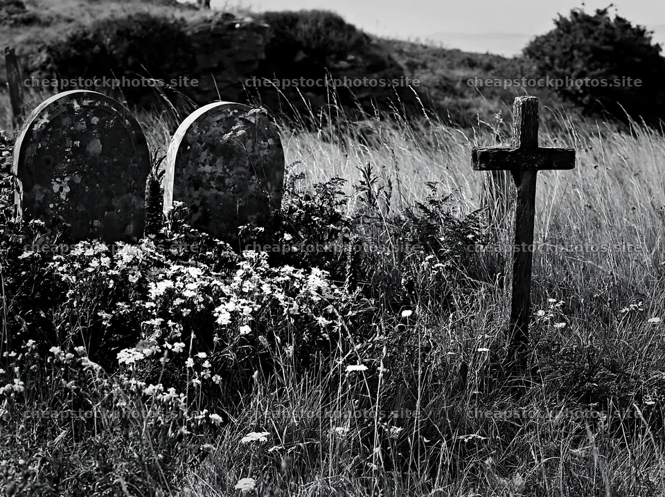 Christian cross in meadow with graves during Christmas season – stock photos 9174x6866