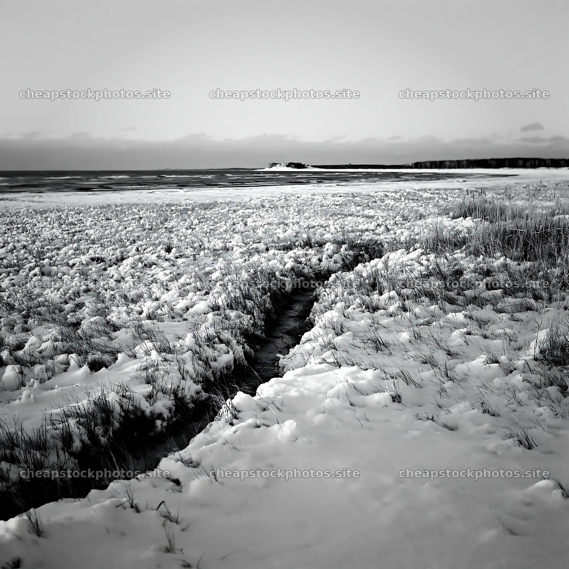 Snowy beach meadow with ice and grass along the shoreline – stock photos 7938x7938