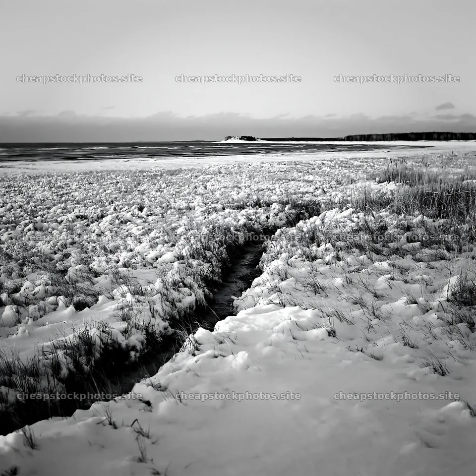 Snowy beach meadow with ice and grass along the shoreline – stock photos 7938x7938