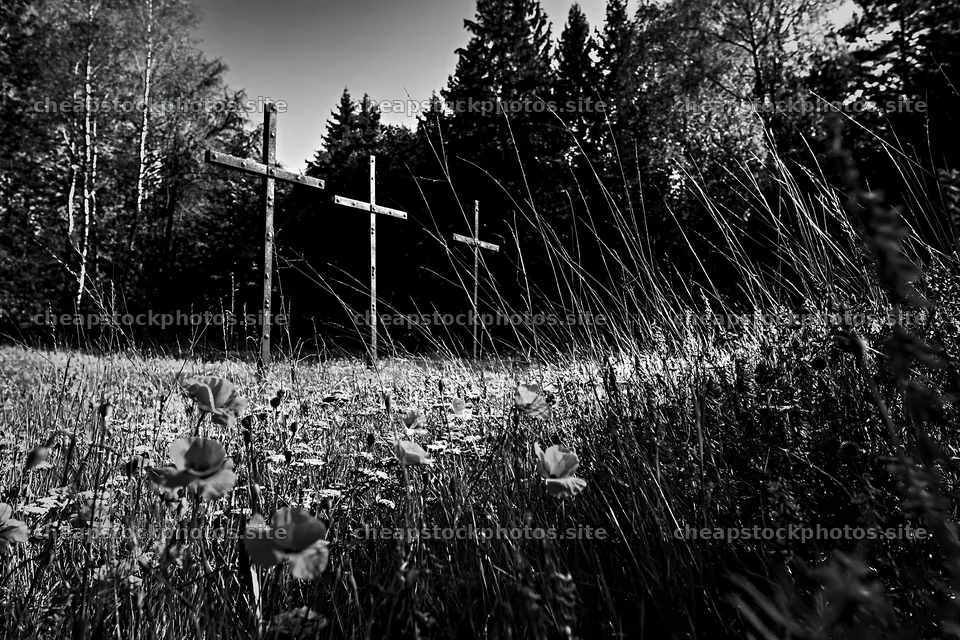 Three weathered crosses in a Christmas meadow – stock photos 9722x6480