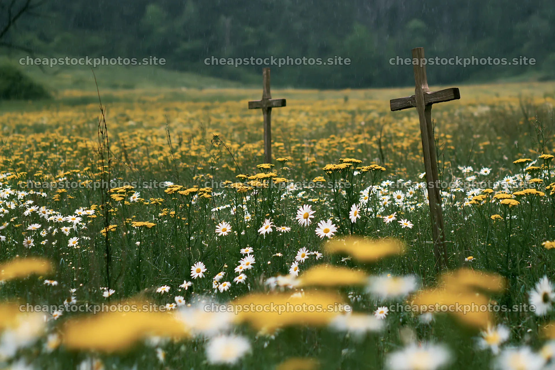 Christian crosses in rain soaked meadow with wildflowers – stock photos 9722x6480