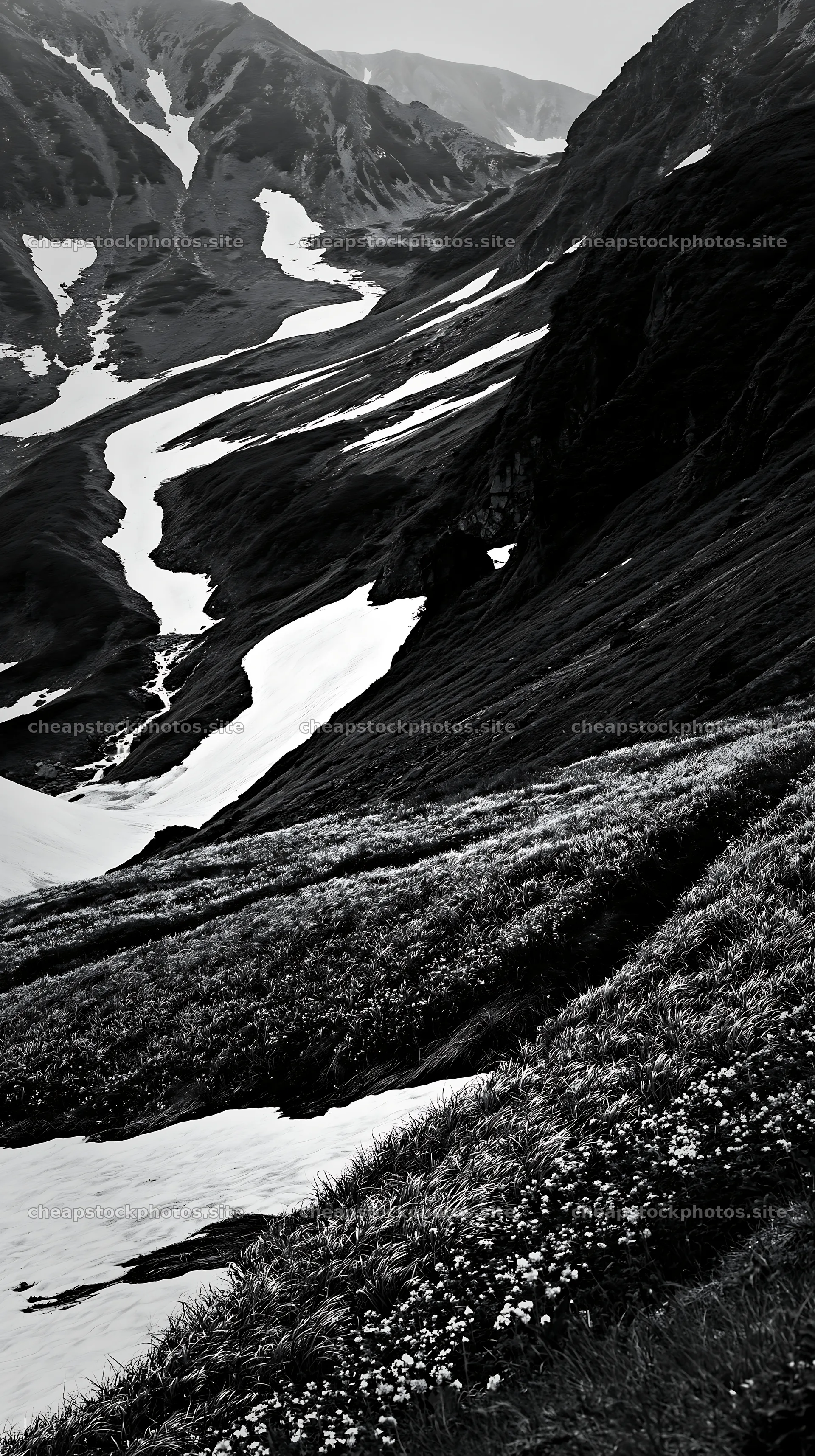 Akita snowmelt meadow with silver grasses under green hills – stock photos 5938x10608