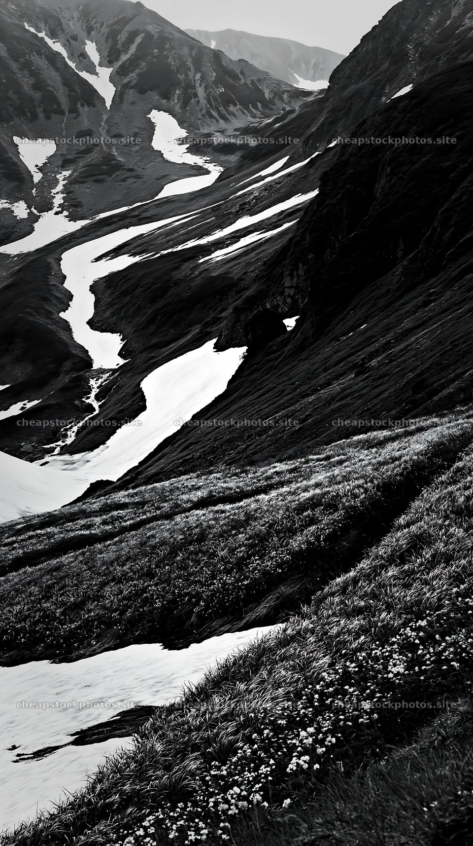 Akita snowmelt meadow with silver grasses under green hills – stock photos 5938x10608
