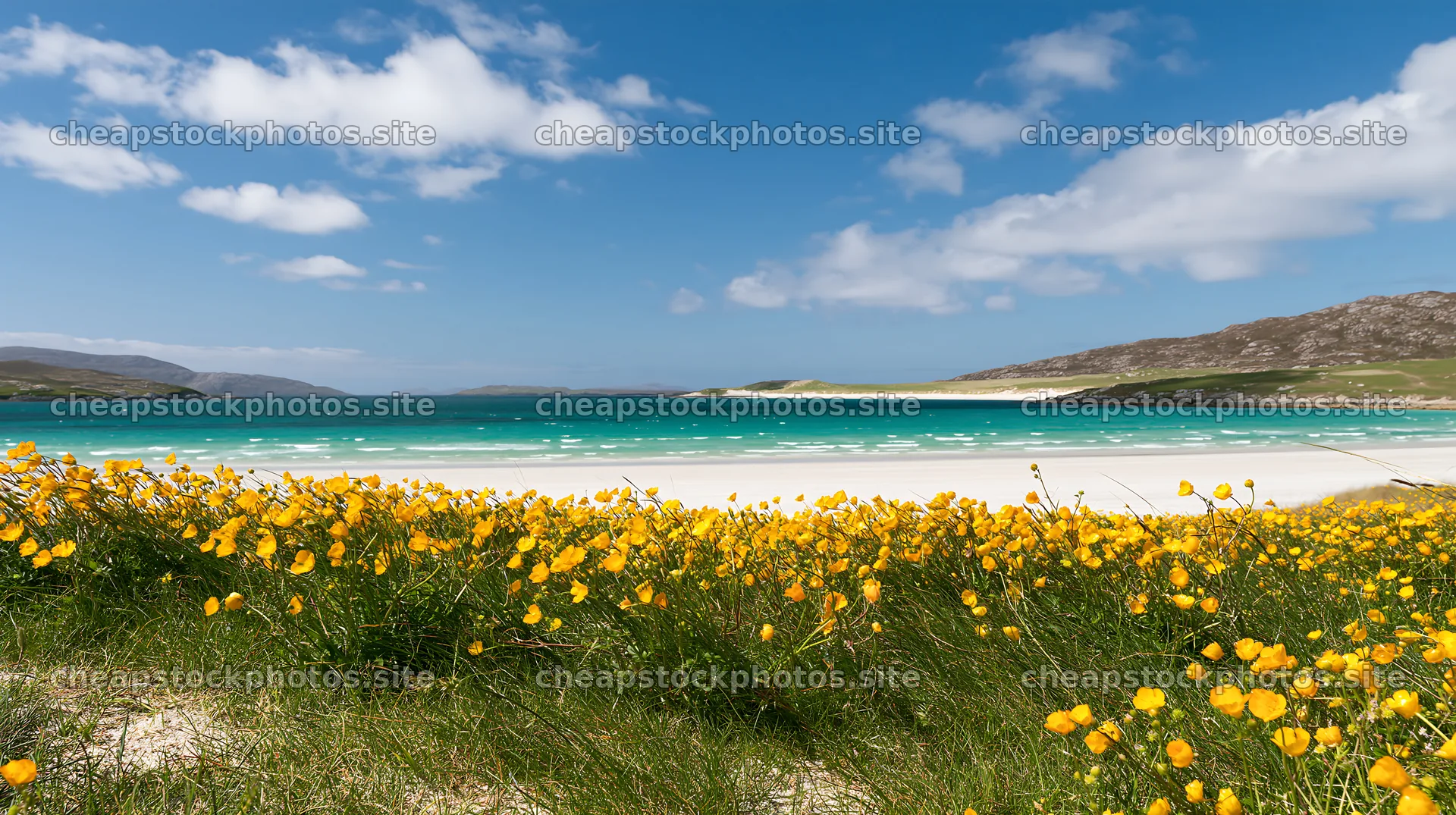 Colorful buttercup meadow by the clear blue water – stock photos 10608x5938