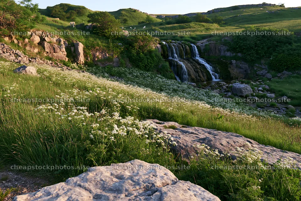 Wildflower meadow and waterfall in natural setting – stock photos 9722x6480