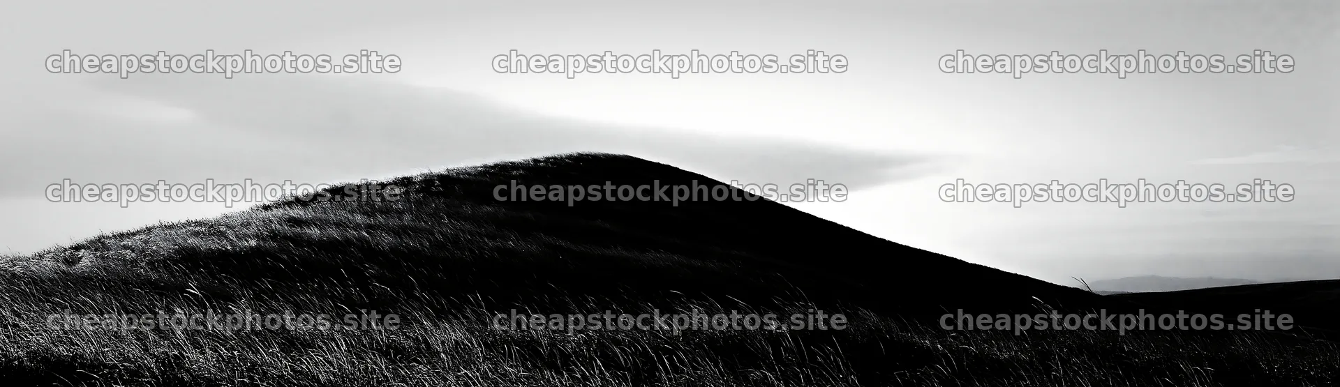 Windy meadow with dune grasses in Tottori – stock photos 14762x4268