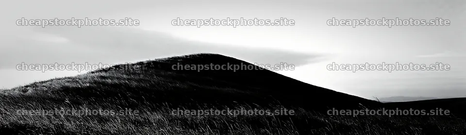 Windy meadow with dune grasses in Tottori – stock photos 14762x4268