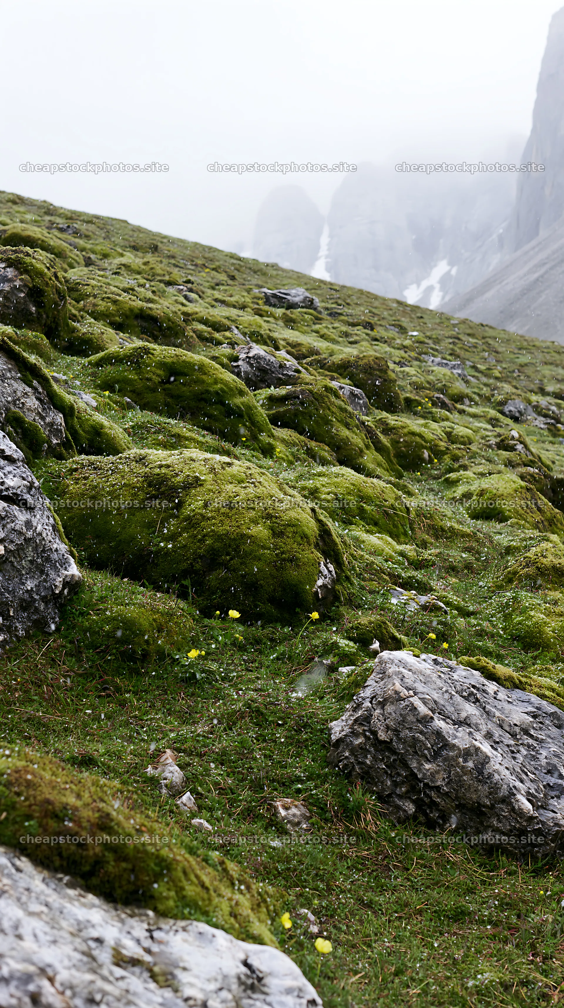 Mossy boulders in a meadow near mountains – stock photos 5938x10608
