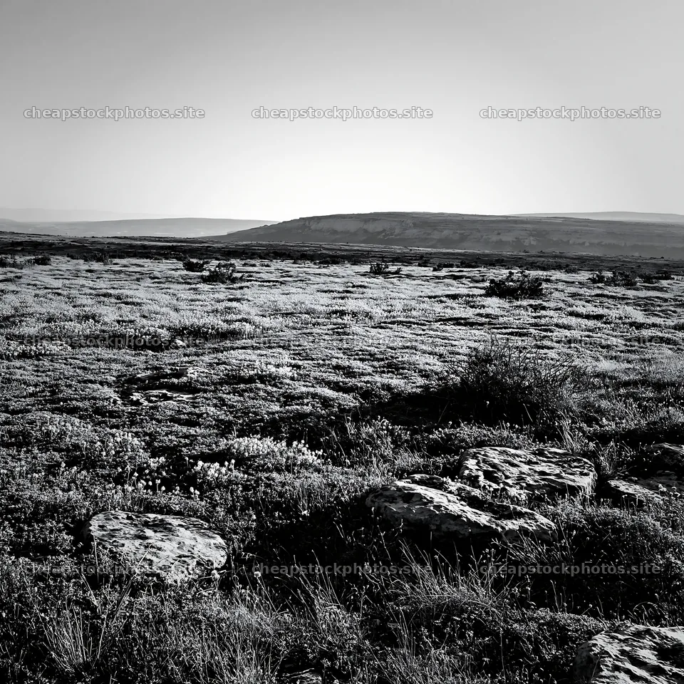 Sunny dry meadow with rocky terrain in the background – stock photos 7938x7938