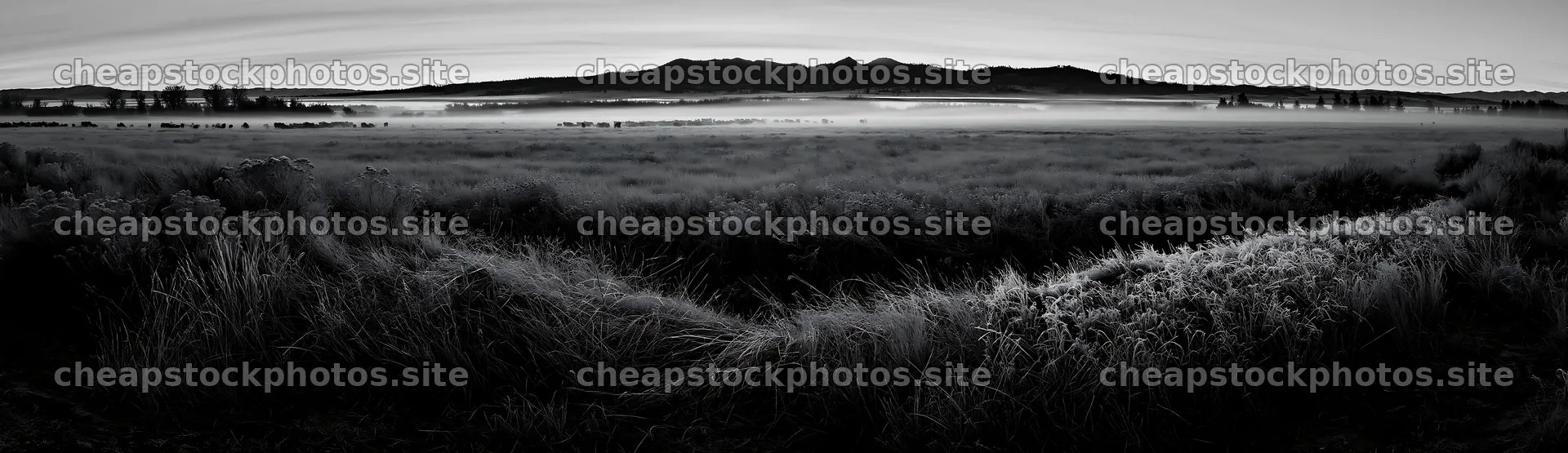 Frosty meadow at sunrise with distant mountains and mist – stock photos 14762x4268