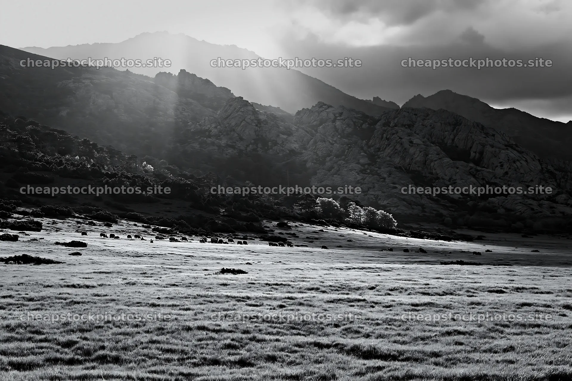 Sunrays over meadow with mountains in the background – stock photos 9722x6480