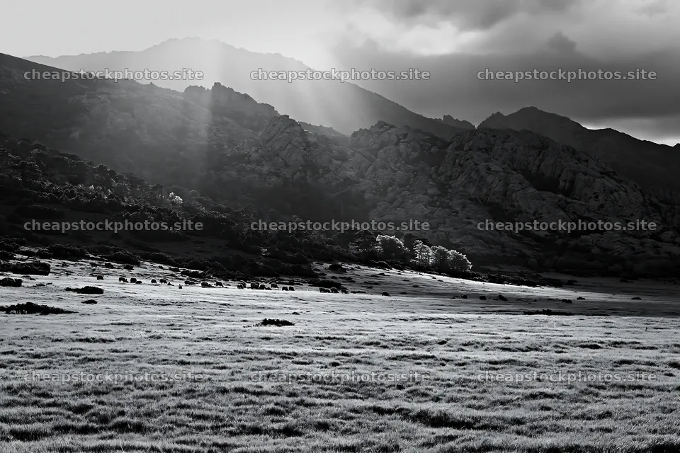Sunrays over meadow with mountains in the background – stock photos 9722x6480