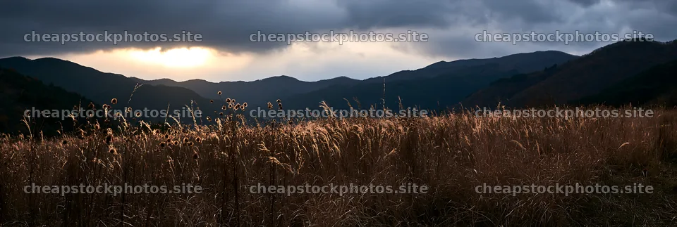 Ehime meadow at twilight with dry seedheads against mountains – stock photos 13690x4602
