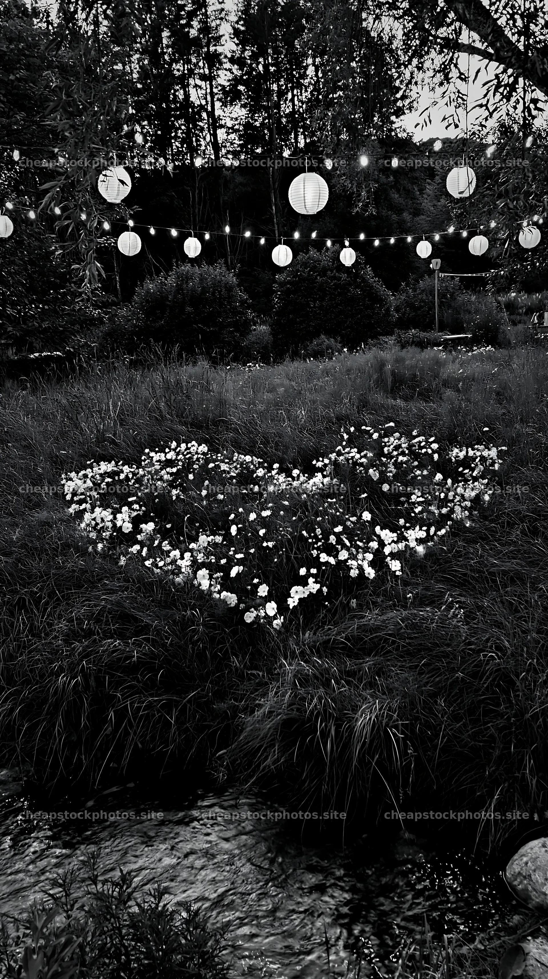 Christmas lights above stream in meadow – stock photos 5938x10608