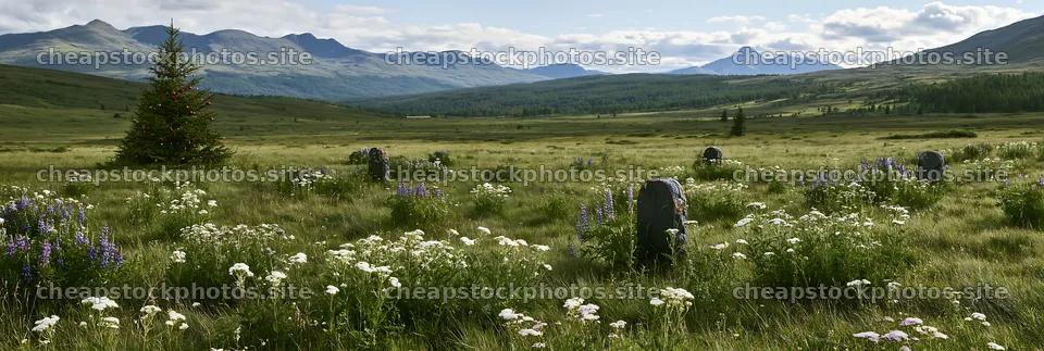 Christmas tree decorated with baubles in mountain meadow – stock photos 13690x4602