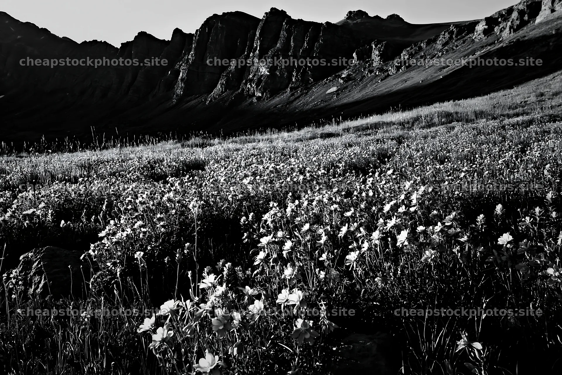 Meadow with flowers beneath rocky crags at dusk – stock photos 9722x6480