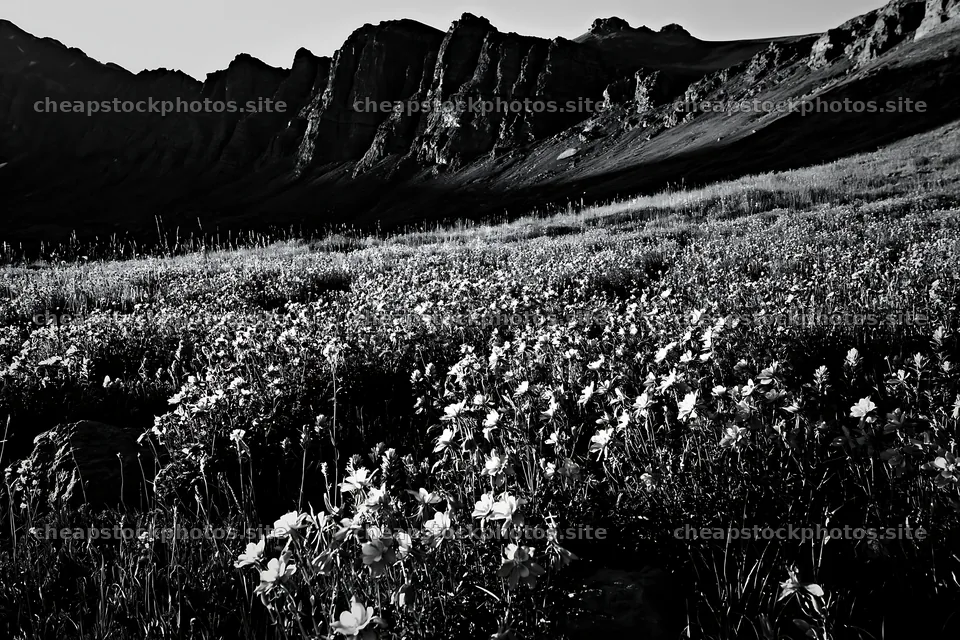 Meadow with flowers beneath rocky crags at dusk – stock photos 9722x6480