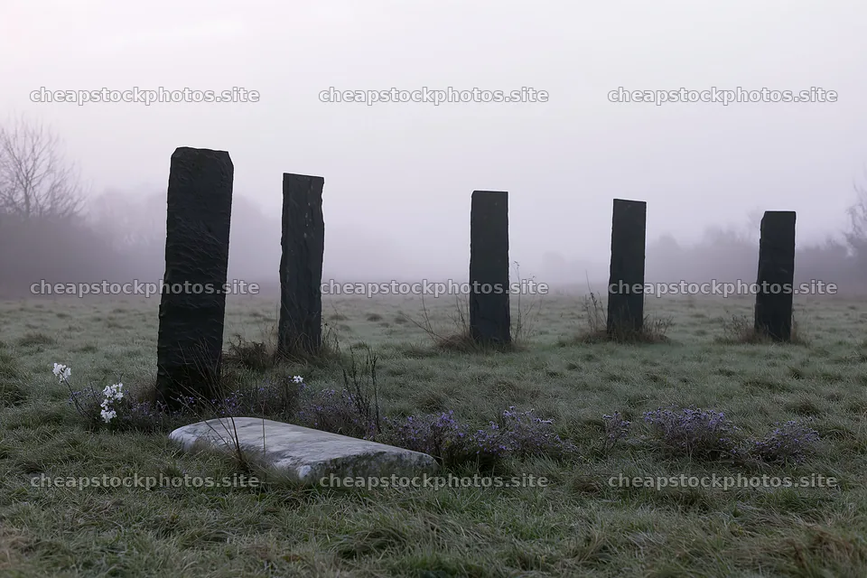 Misty winter meadow with standing stones in fog – stock photos 9722x6480
