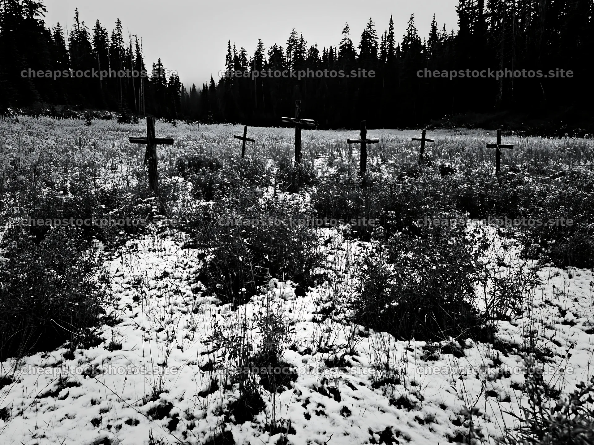 Multiple Christian crosses in snowy meadow – stock photos 9174x6866