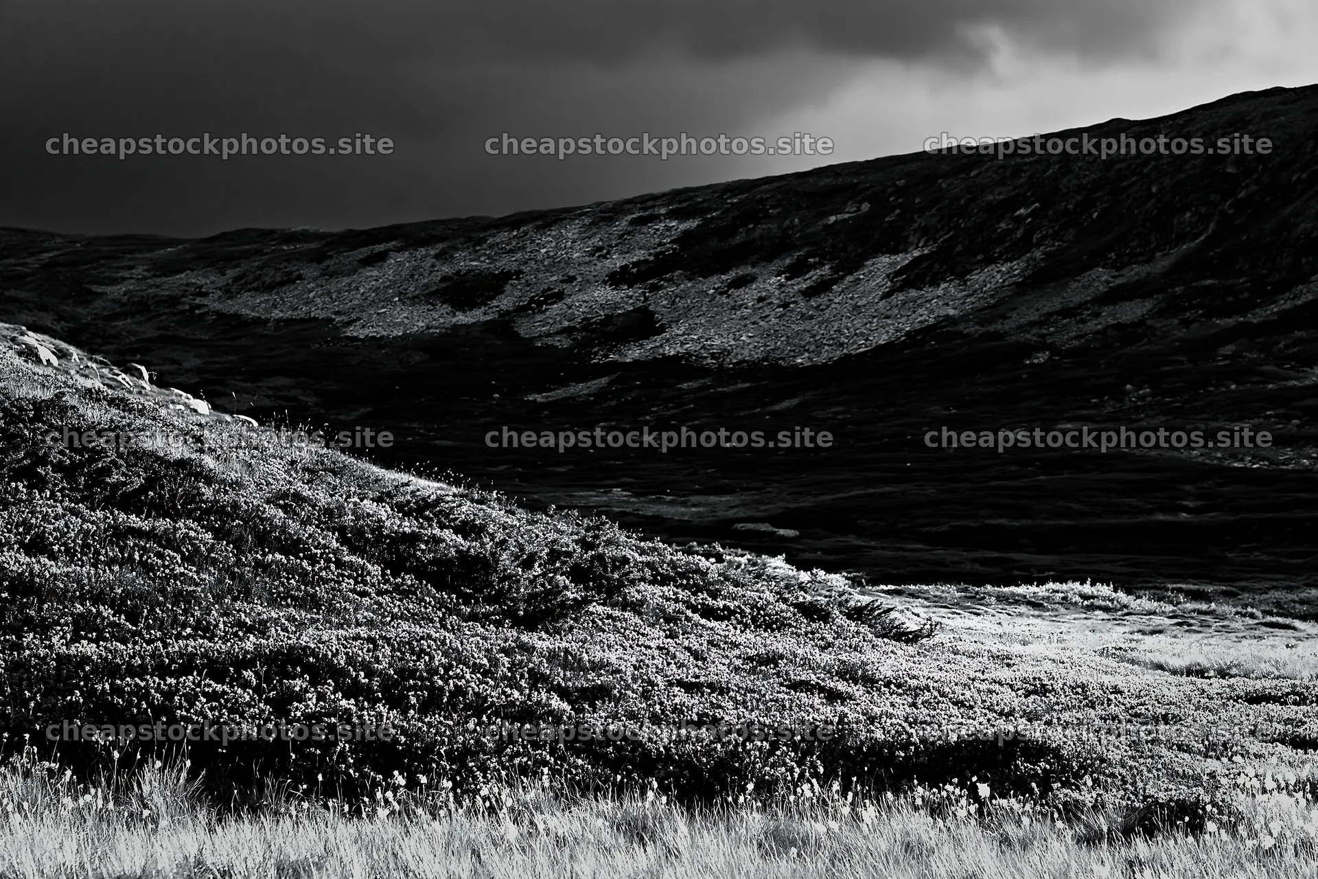 Jotunheimen valley meadow with sunbeams and dark clouds – stock photos 9722x6480